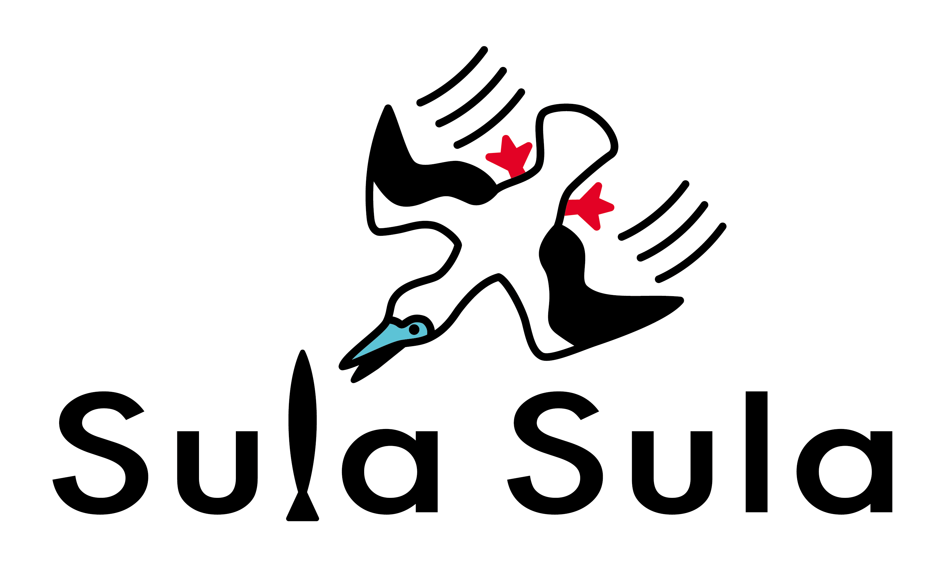 Sula Sula_Fish Hook