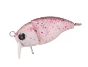 ギャラリービューアに画像をロードする, シマノ カーディフ そことろ30S / SHIMANO CARDIFF SOKOTORO 30S