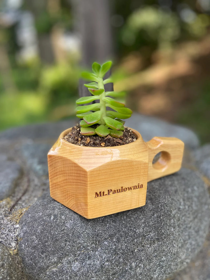 ギャラリービューアに画像をロードする, Mt.Paulownia WOOD MULTIPLE MUG CUP