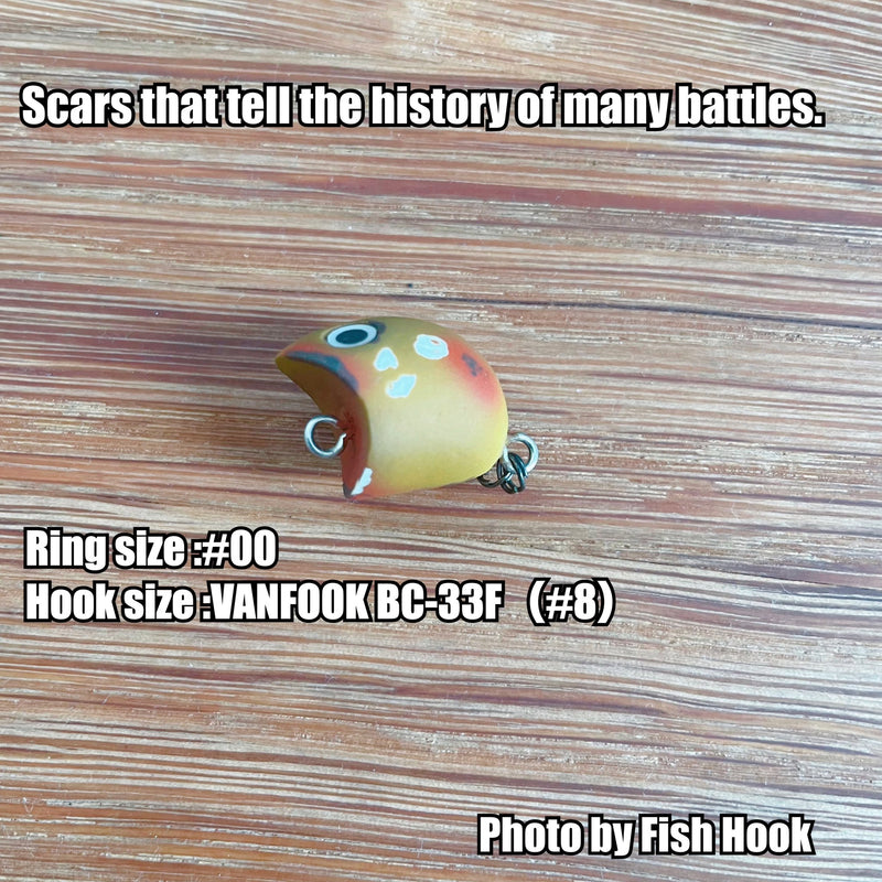 ギャラリービューアに画像をロードする, フィッシングエリア帝釈 スプラッシュトップ / fishing area taishaku splash top