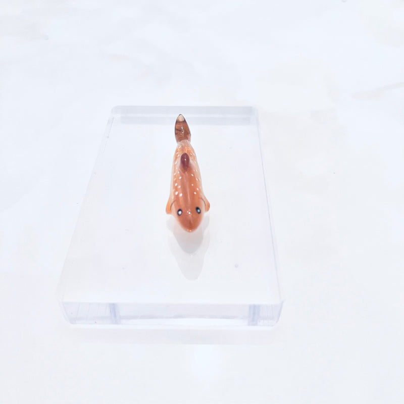 ギャラリービューアに画像をロードする, mokomomo × Fish Hook コラボアクセサリー / mokomomo × Fish Hook collaboration accessories