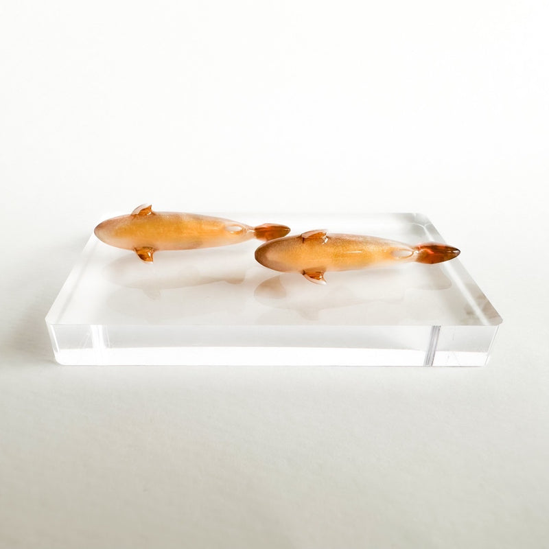 ギャラリービューアに画像をロードする, mokomomo × Fish Hook コラボ イワナミニオブジェ / mokomomo × Fish Hook collaboration