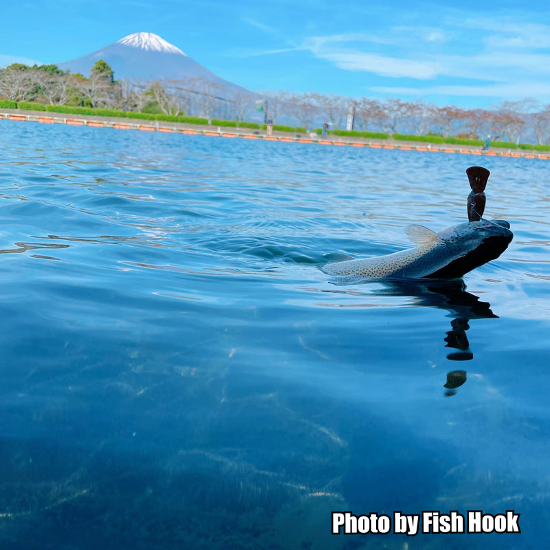 ギャラリービューアに画像をロードする, ヴァンフック FSP-21F エキスパートフック タイプ コンペティション ファインワイヤー / VANFOOK FSP-21F Experthook TYPE COMPETITION Fine Wire