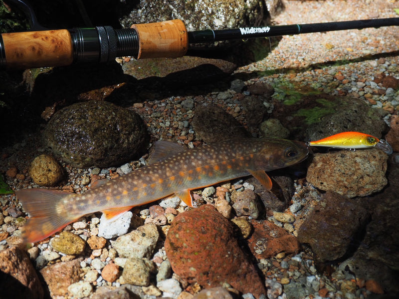 ギャラリービューアに画像をロードする, 【ご予約製品】(2026年2月お届け予定)ウィルダネス ネイティブトラウトルアーロッド HOKI 409C-5 & 410S-5/ Wilderness HOKI