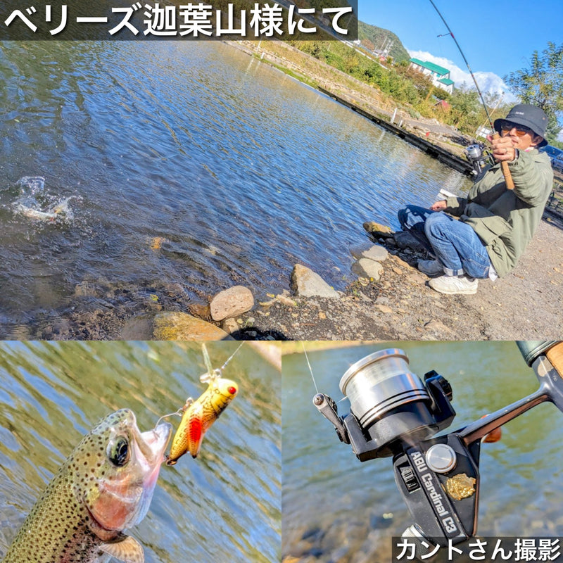 ギャラリービューアに画像をロードする, アブガルシア カーディナル3BRL CDL / ABU Cardinal 3BRL CDL