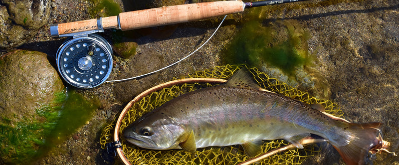 ギャラリービューアに画像をロードする, 【ご予約製品】(2026年2月お届け予定)ウィルダネス ネイティブトラウトルアーロッド HOKI 409C-5 & 410S-5/ Wilderness HOKI