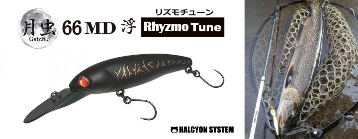 Load image into Gallery viewer, Halcyon System Tsutsukimushi 66MD Floating AREA