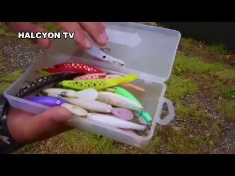 Load and play video in Gallery viewer, Halcyon System TIGRIS DENS MD70F Rhyzmo Tune