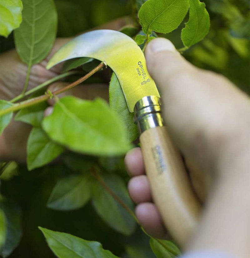 Load image into Gallery viewer, OPINEL Paring Knife #10