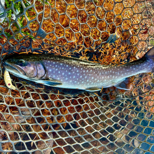 カルテラス チェプラム 40 シリーズ 【飛ばしカラー】/ KARTELLAS Cepram 40 Series