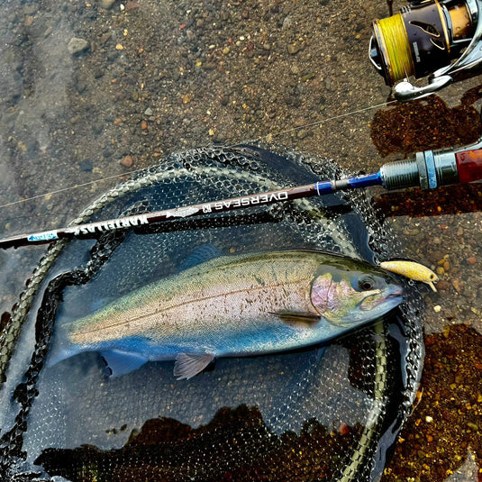 カルテラス チェプラム 40 シリーズ 【飛ばしカラー】/ KARTELLAS Cepram 40 Series