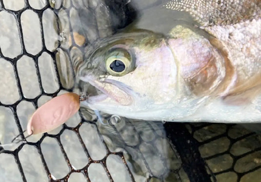 ヴァルケイン ブラックブラスト 1.3g / ValkeIN Black Blast 1.3g