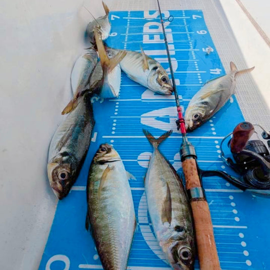 【Fish Hook 3周年記念・限定先行予約】 Huerco GTF600-5S / フエルコ Fish Hook 別注モデル