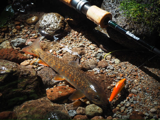 【ご予約製品】（2026年2月お届け予定）ウィルダネス ネイティブトラウトルアーロッド HOKI 409C-5 & 410S-5/ Wilderness HOKI