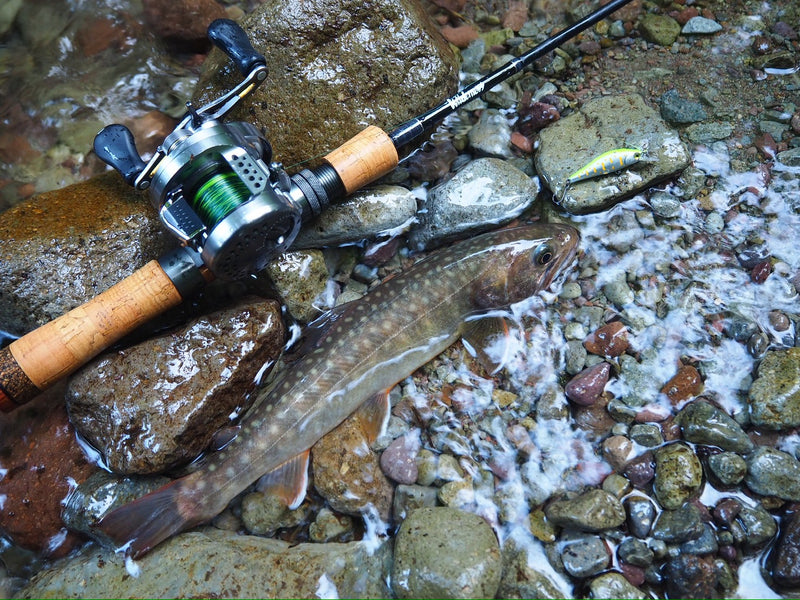 ギャラリービューアに画像をロードする, 【ご予約製品】（2026年2月お届け予定）ウィルダネス ネイティブトラウトルアーロッド HOKI 409C-5 &amp; 410S-5/ Wilderness HOKI
