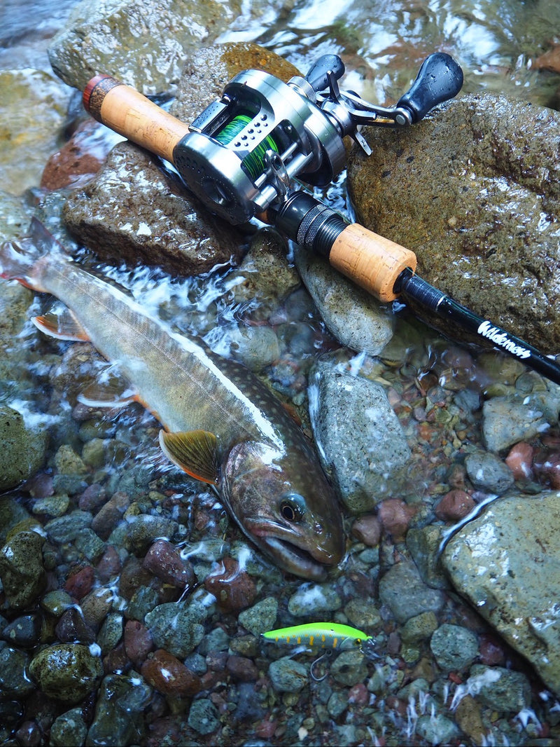 ギャラリービューアに画像をロードする, 【ご予約製品】（2026年2月お届け予定）ウィルダネス ネイティブトラウトルアーロッド HOKI 409C-5 &amp; 410S-5/ Wilderness HOKI
