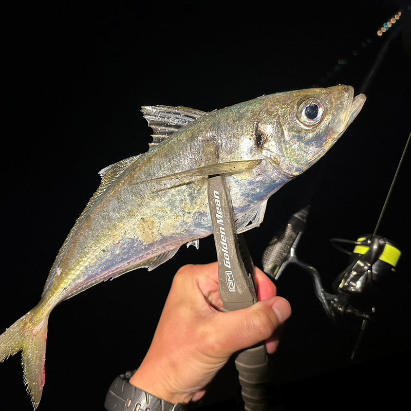 ギャラリービューアに画像をロードする, バリバス アジングマスターエステル150m レモニー / VARIVAS AJING MASTER LEMONI 150m
