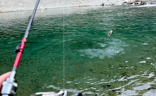 【Fish Hook 3周年記念・限定先行予約】 Huerco GTF600-5S / フエルコ Fish Hook 別注モデル