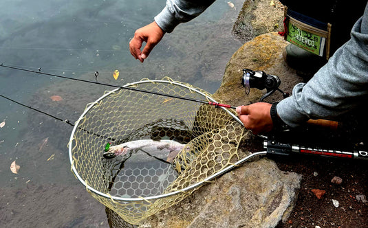 【Fish Hook 3周年記念・限定先行予約】 Huerco GTF600-5S / フエルコ Fish Hook 別注モデル