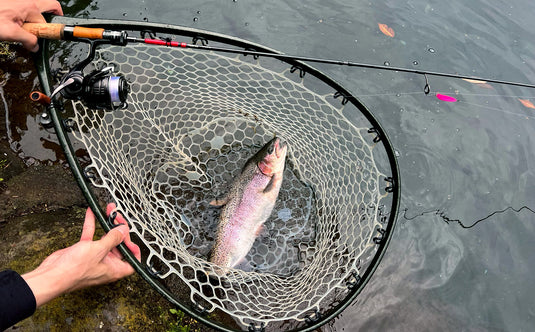 【Fish Hook 3周年記念・限定先行予約】 Huerco GTF600-5S / フエルコ Fish Hook 別注モデル