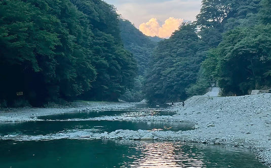 【Fish Hook 3周年記念・限定先行予約】 Huerco GTF600-5S / フエルコ Fish Hook 別注モデル