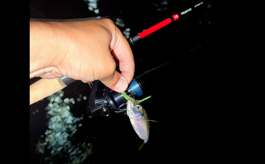 【Fish Hook 3周年記念・限定先行予約】 Huerco GTF600-5S / フエルコ Fish Hook 別注モデル