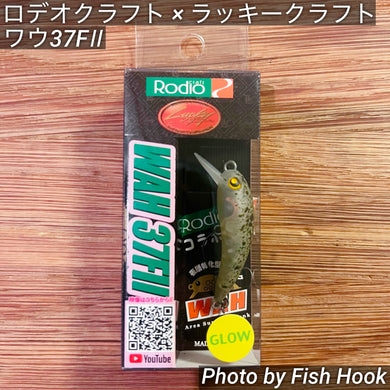 ロデオクラフト × ラッキークラフト ワウ37FⅡ  /  Rodio craft × Lucky Craft Wah 37FⅡ