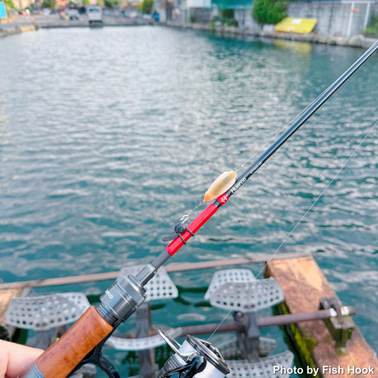 Lucky Craft × Fish Hook | ワウ33S ふわう リバースサクラミソ | 別注デッドスロークランク