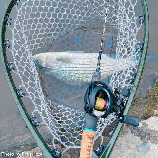 カルテラス フォルミューガ 47 / KARTELLAS Formiga 47