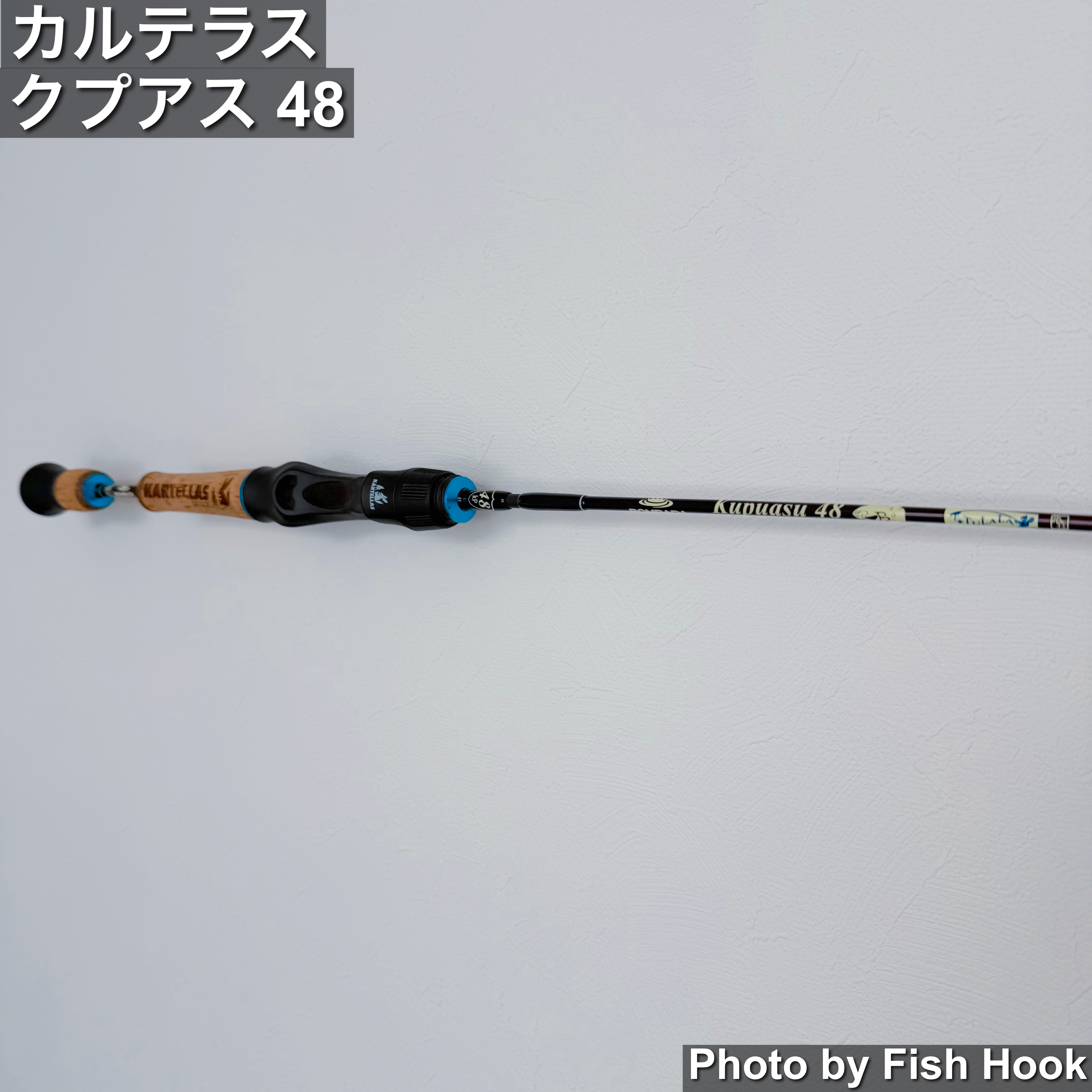 カルテラス クプアス 48 / KARTELLAS Kupuasu48_Fish Hook