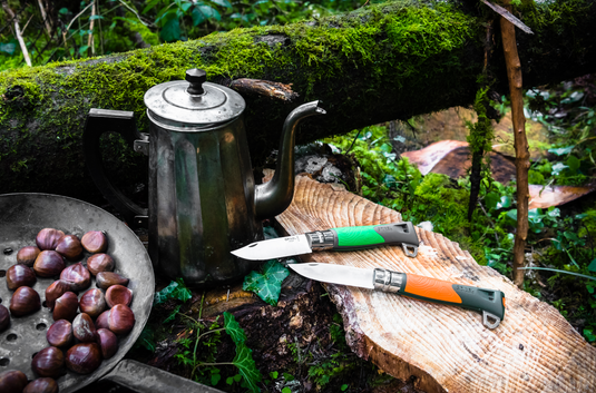 OPINEL Explorer