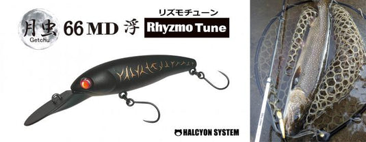 Halcyon System Tsutsukimushi 66MD Floating AREA